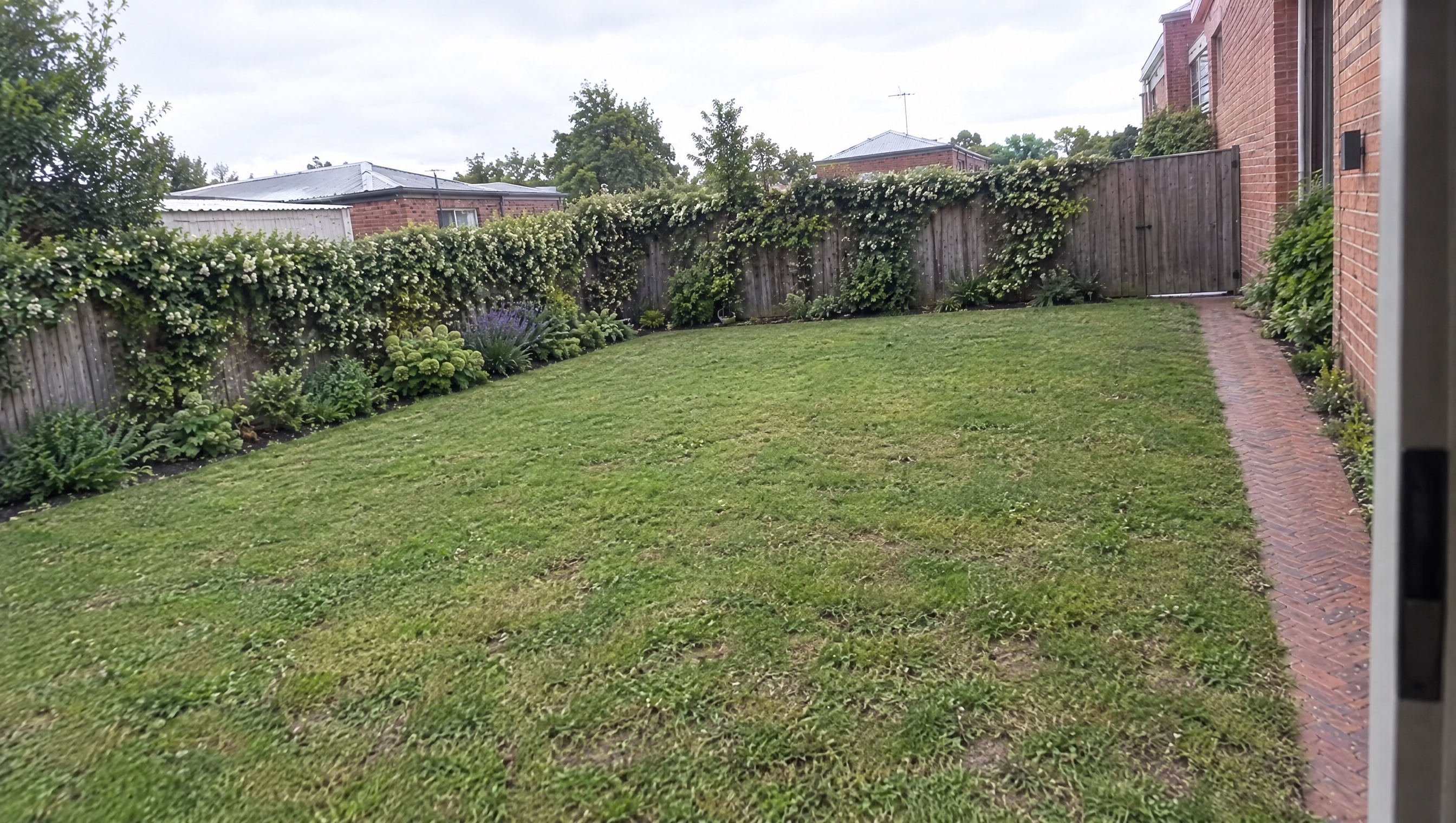 Illustrative backyard before adding the pool